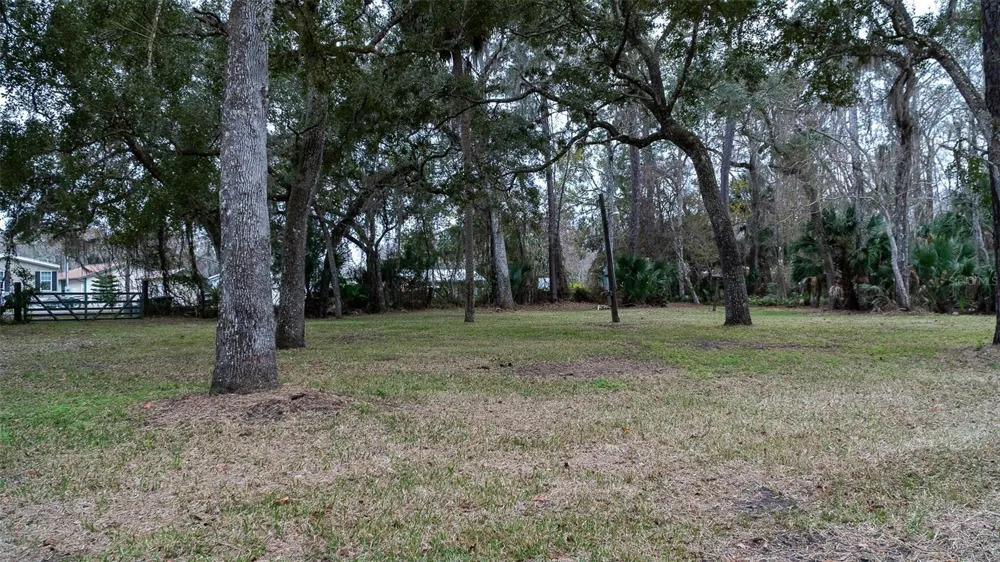 155 FRAN LANE Satsuma, FL 32189