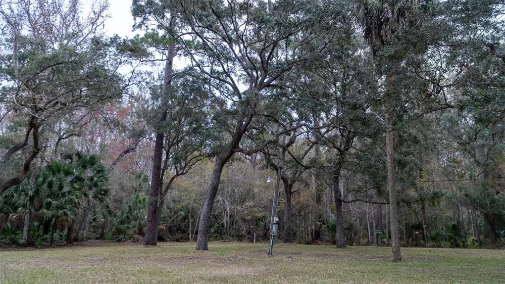155 FRAN LANE Satsuma, FL 32189
