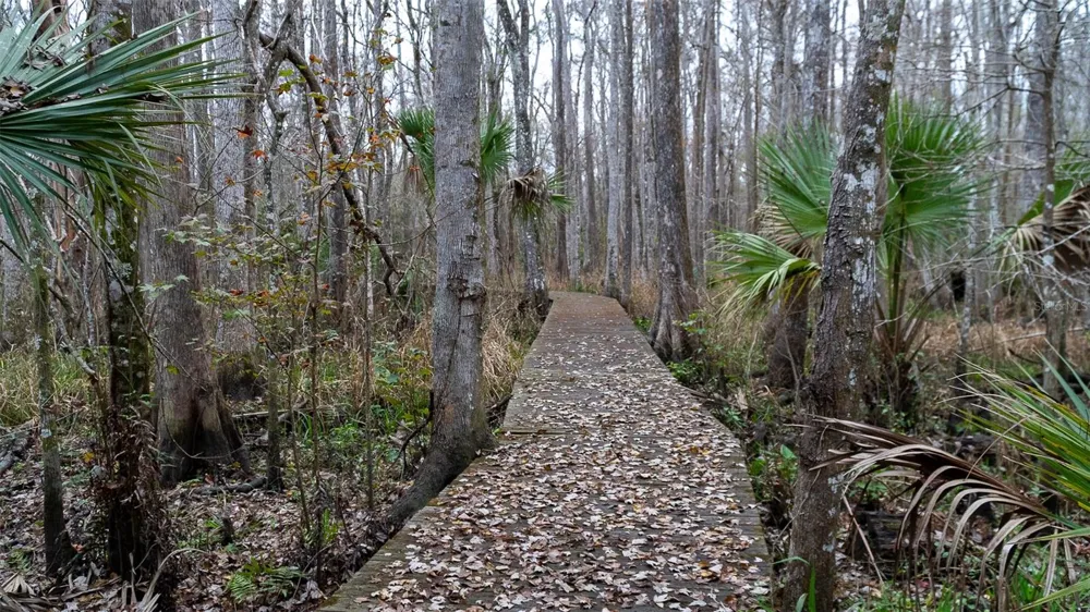 155 FRAN LANE Satsuma, FL 32189