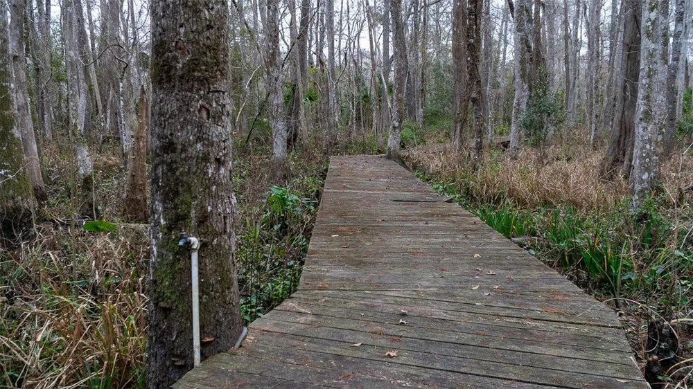 155 FRAN LANE Satsuma, FL 32189
