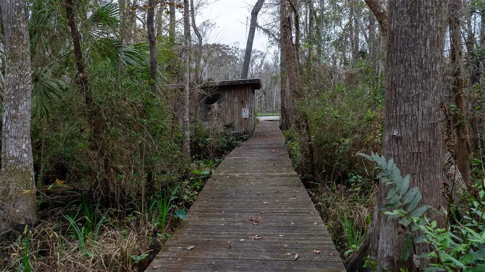 155 FRAN LANE Satsuma, FL 32189
