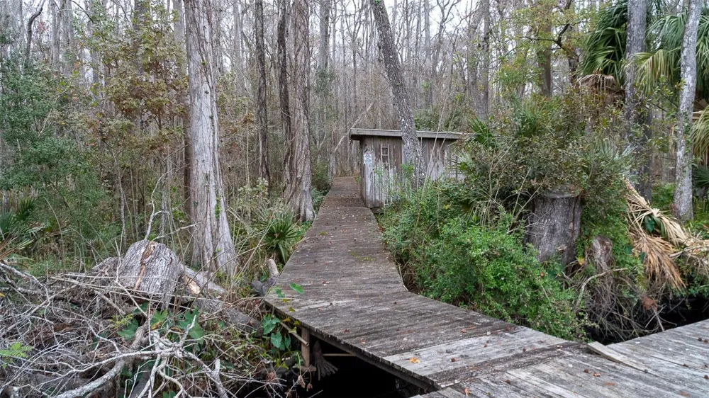 155 FRAN LANE Satsuma, FL 32189