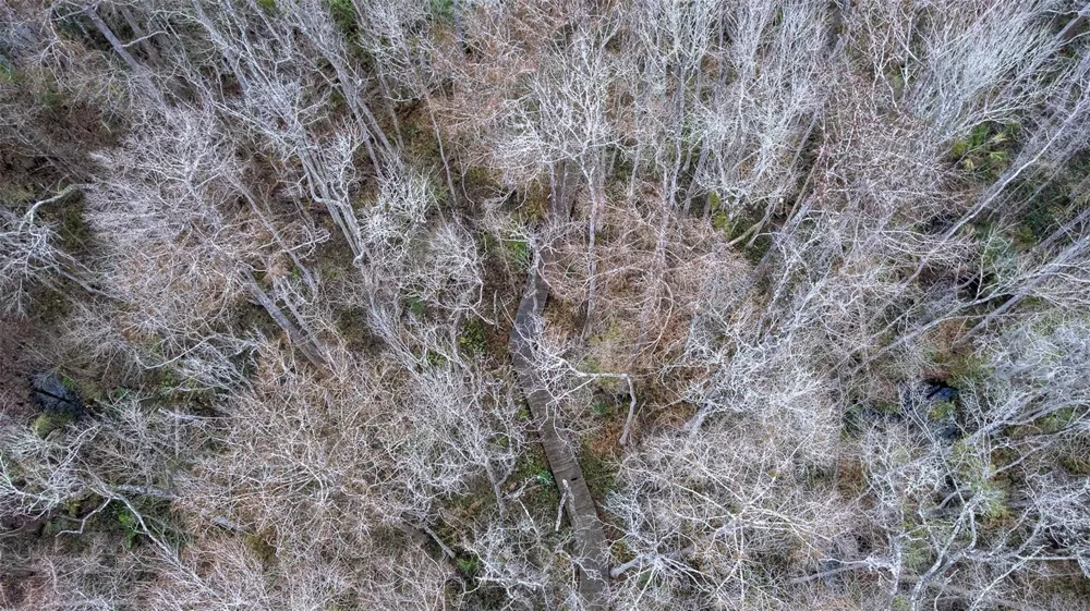 155 FRAN LANE Satsuma, FL 32189