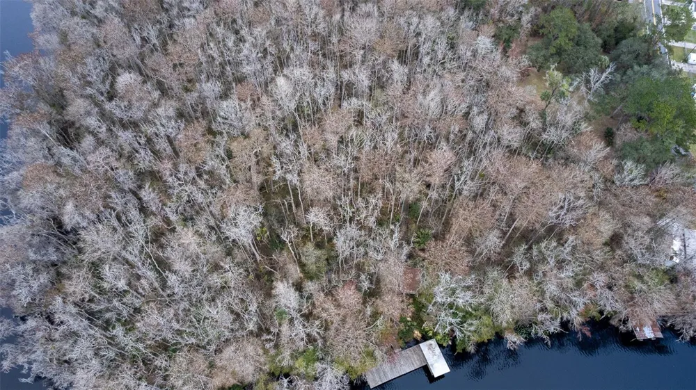 155 FRAN LANE Satsuma, FL 32189
