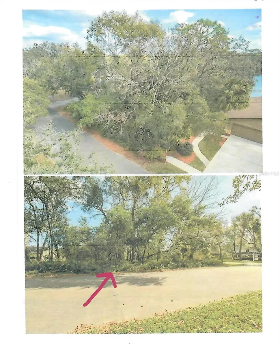 421 CARDINAL OAKS COURT Lake Mary, FL 32746
