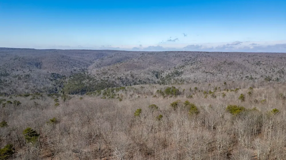 1844 Hobbstown Road Dunlap, TN 37327