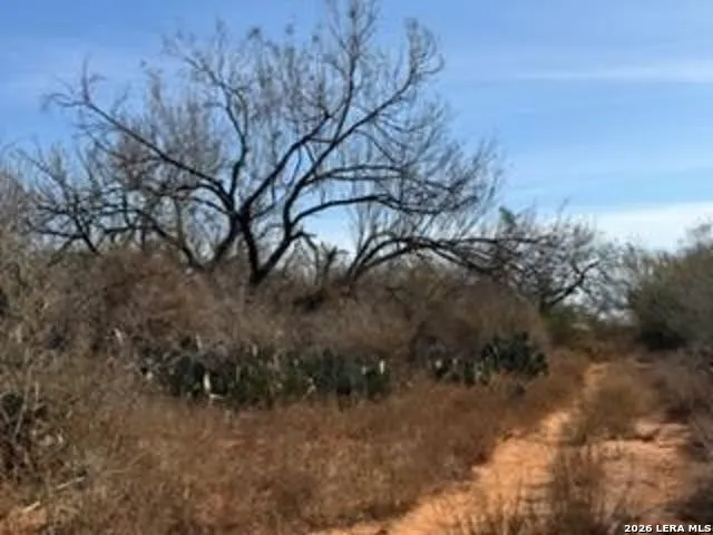 1160 W Highway 85 Dilley, TX 78017