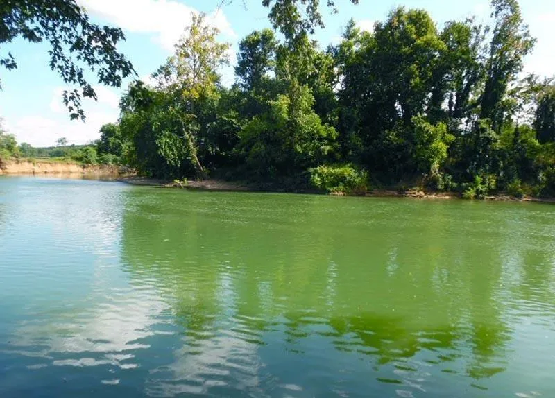 113 Driftwood Parking Park Other, AR 72459