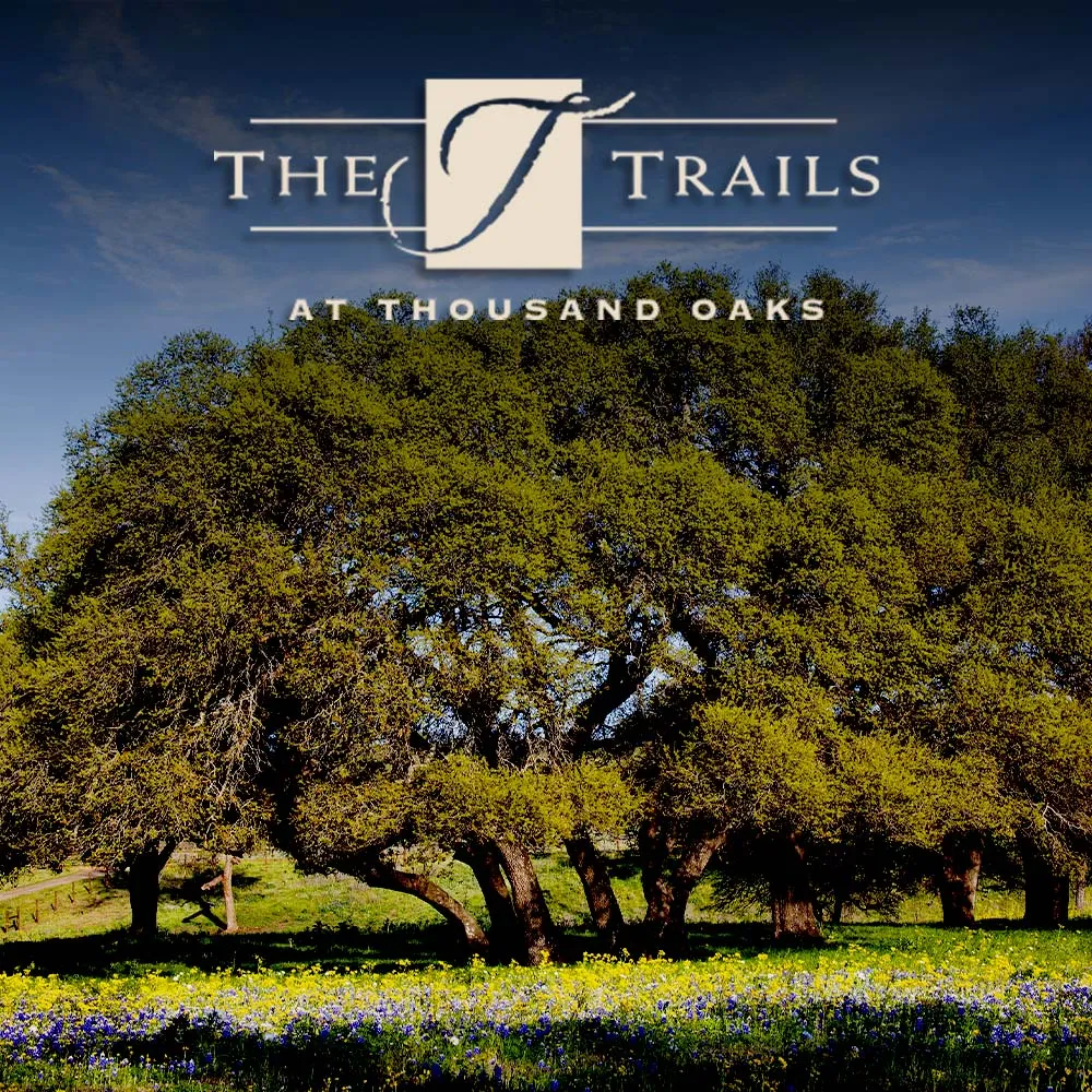 145 Red Hawk Drive Marble Falls, TX 78663