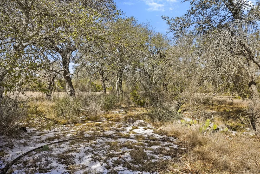 145 Red Hawk Drive Marble Falls, TX 78663