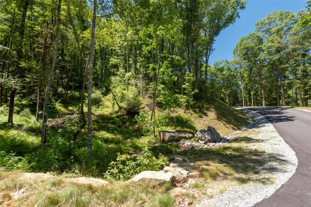 Lot C51 Roaming Road Glenville, NC 28736