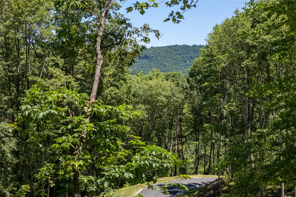 Lot C51 Roaming Road Glenville, NC 28736