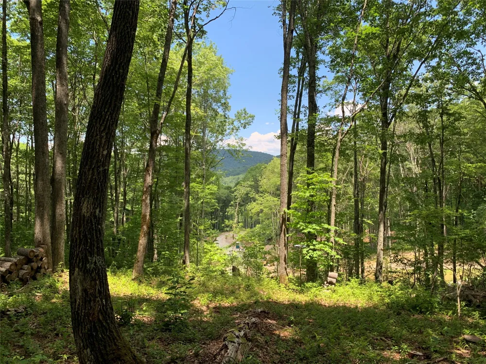 Lot C51 Roaming Road Glenville, NC 28736