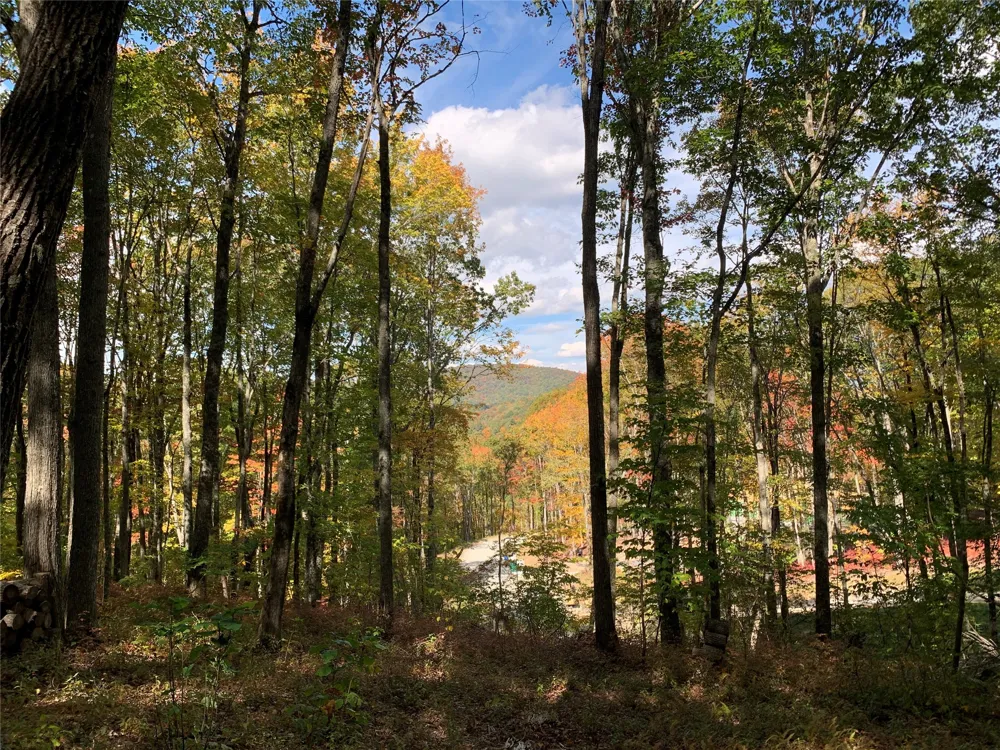 Lot C51 Roaming Road Glenville, NC 28736