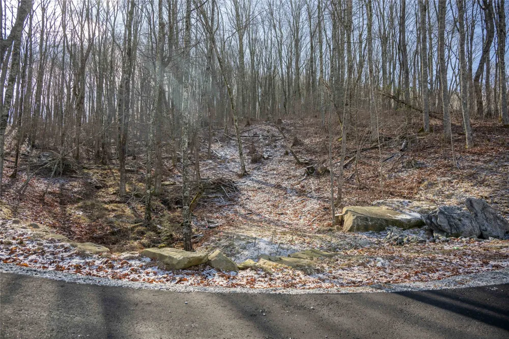 Lot C51 Roaming Road Glenville, NC 28736