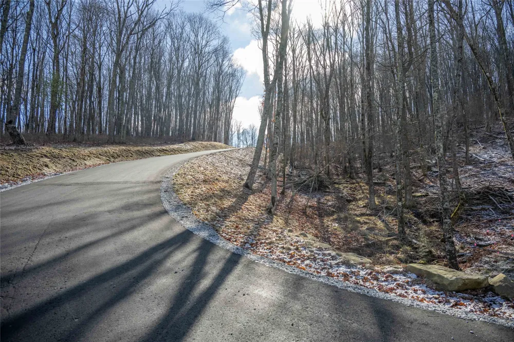 Lot C51 Roaming Road Glenville, NC 28736