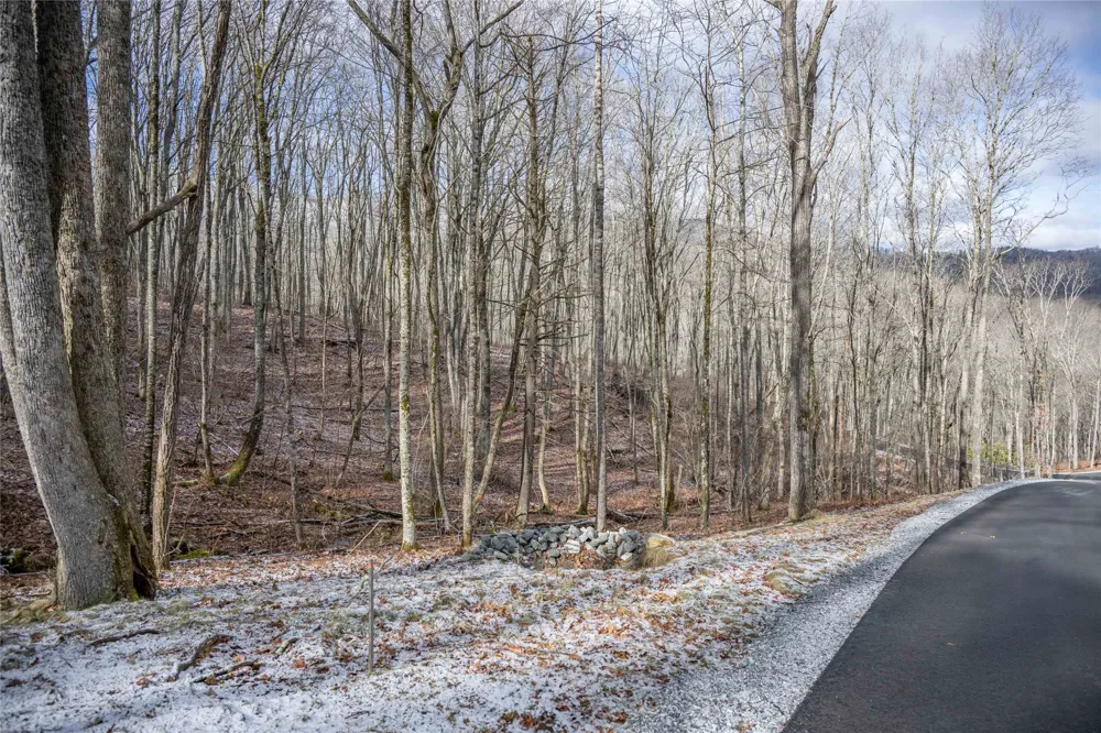 Lot C51 Roaming Road Glenville, NC 28736