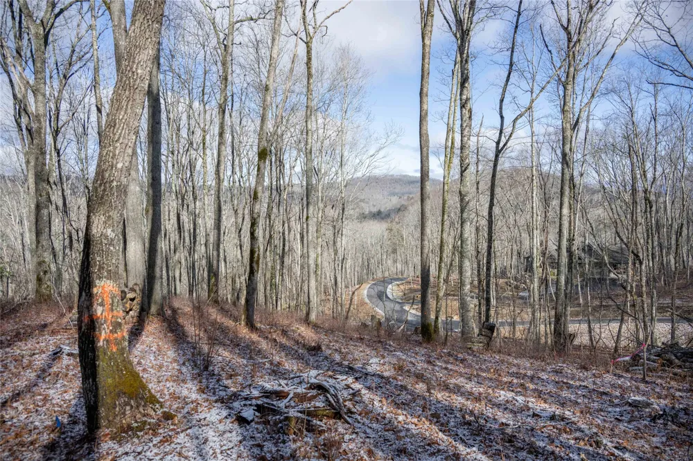 Lot C51 Roaming Road Glenville, NC 28736