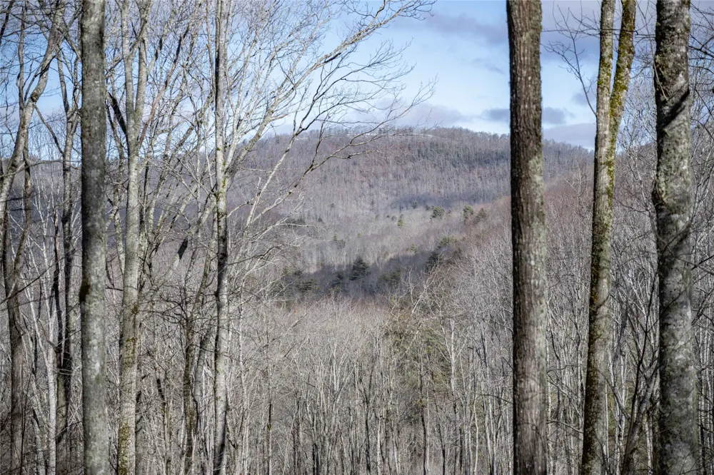 Lot C51 Roaming Road Glenville, NC 28736