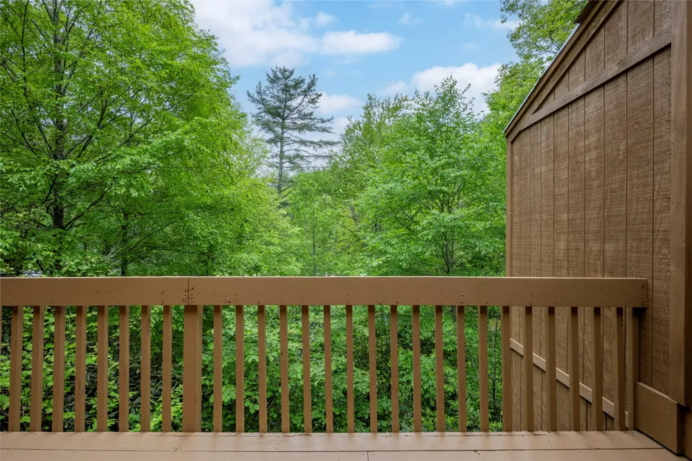 233 Meadow Way #UN1615 Sapphire, NC 28774
