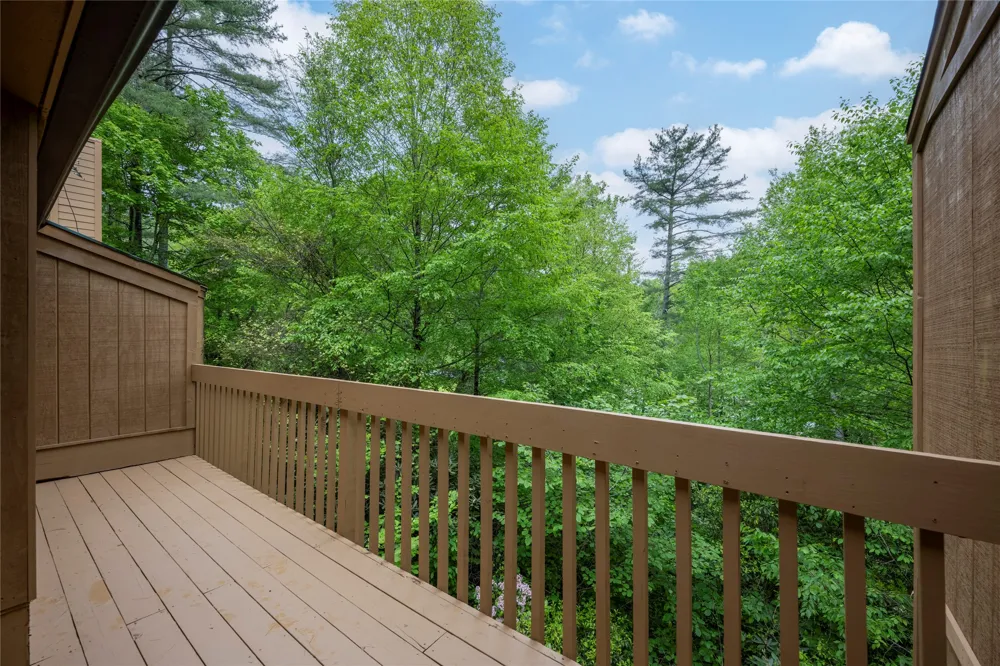 233 Meadow Way #UN1615 Sapphire, NC 28774