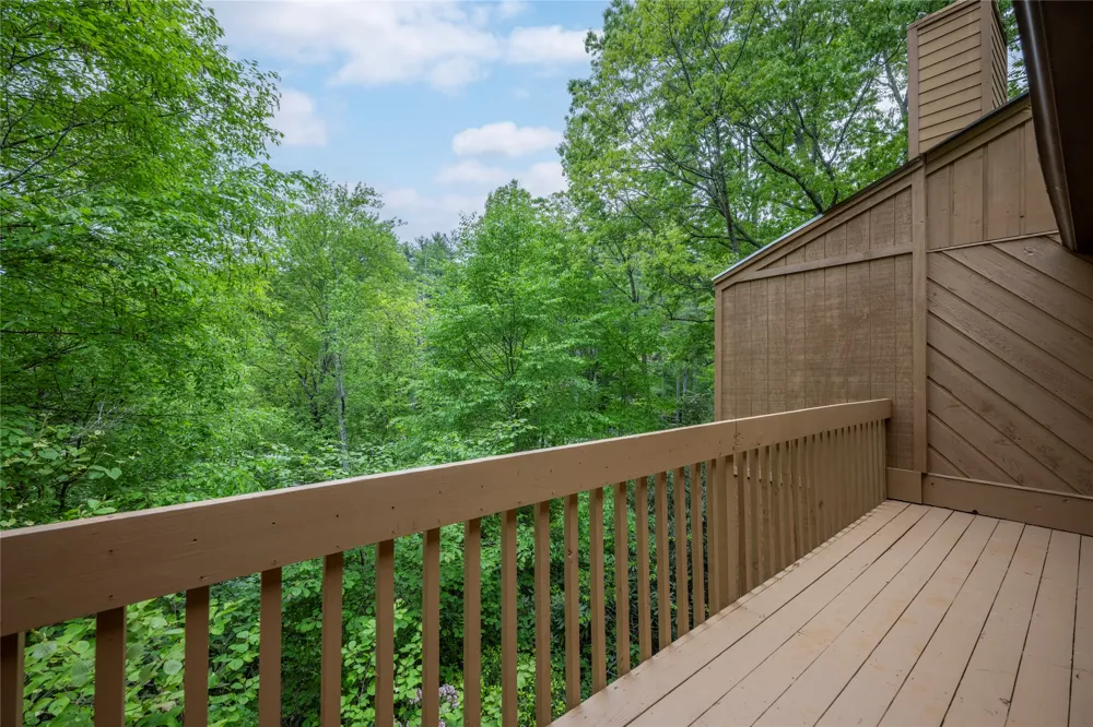 233 Meadow Way #UN1615 Sapphire, NC 28774