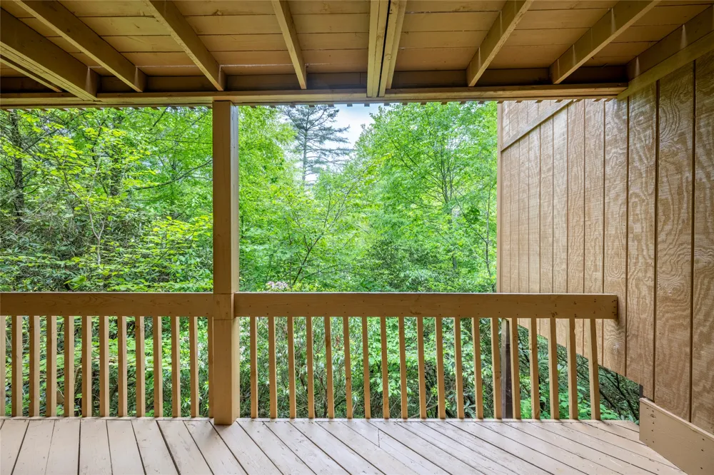 233 Meadow Way #UN1615 Sapphire, NC 28774