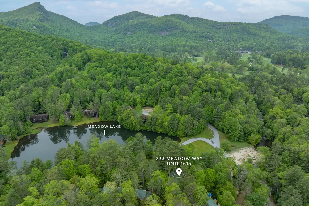 233 Meadow Way #UN1615 Sapphire, NC 28774