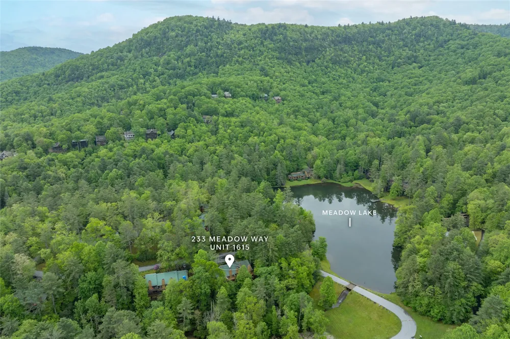233 Meadow Way #UN1615 Sapphire, NC 28774