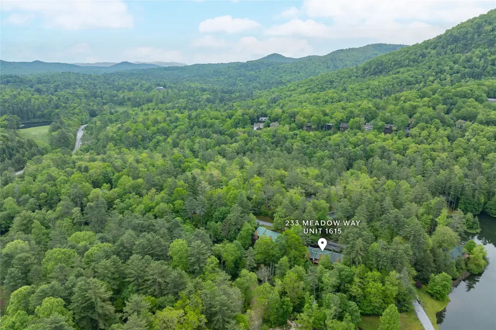 233 Meadow Way #UN1615 Sapphire, NC 28774