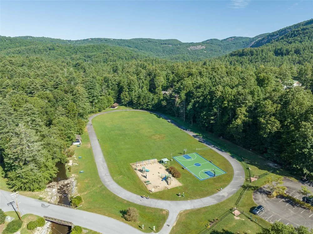 233 Meadow Way #UN1615 Sapphire, NC 28774