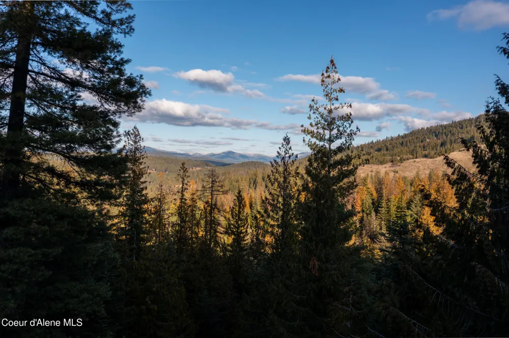 6946 E Burma Road Harrison, ID 83833