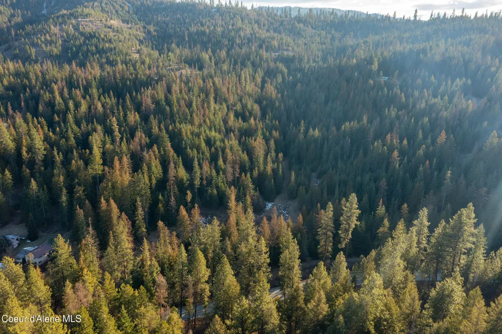 NNA Sophie Hills Lot 1 Harrison, ID 83833