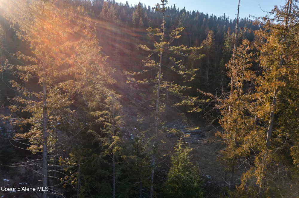 NNA Sophie Hills Lot 1 Harrison, ID 83833
