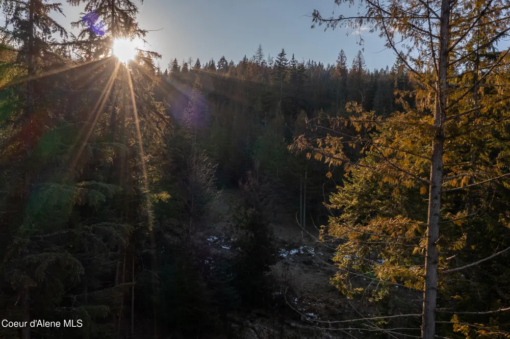 NNA Sophie Hills Lot 1 Harrison, ID 83833