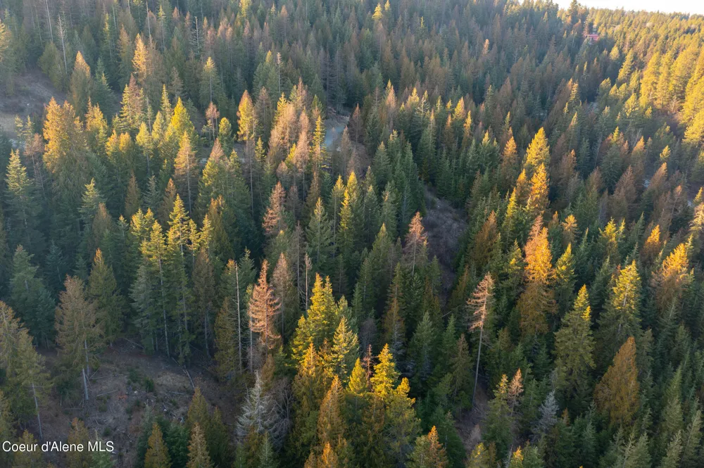 NNA Sophie Hills Lot 2 Harrison, ID 83833