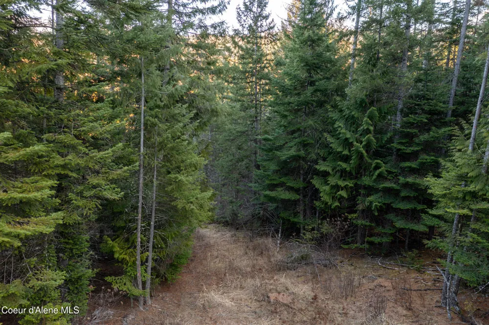 NNA Sophie Hills Lot 2 Harrison, ID 83833