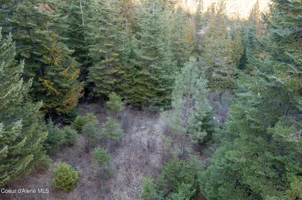 NNA Sophie Hills Lot 2 Harrison, ID 83833