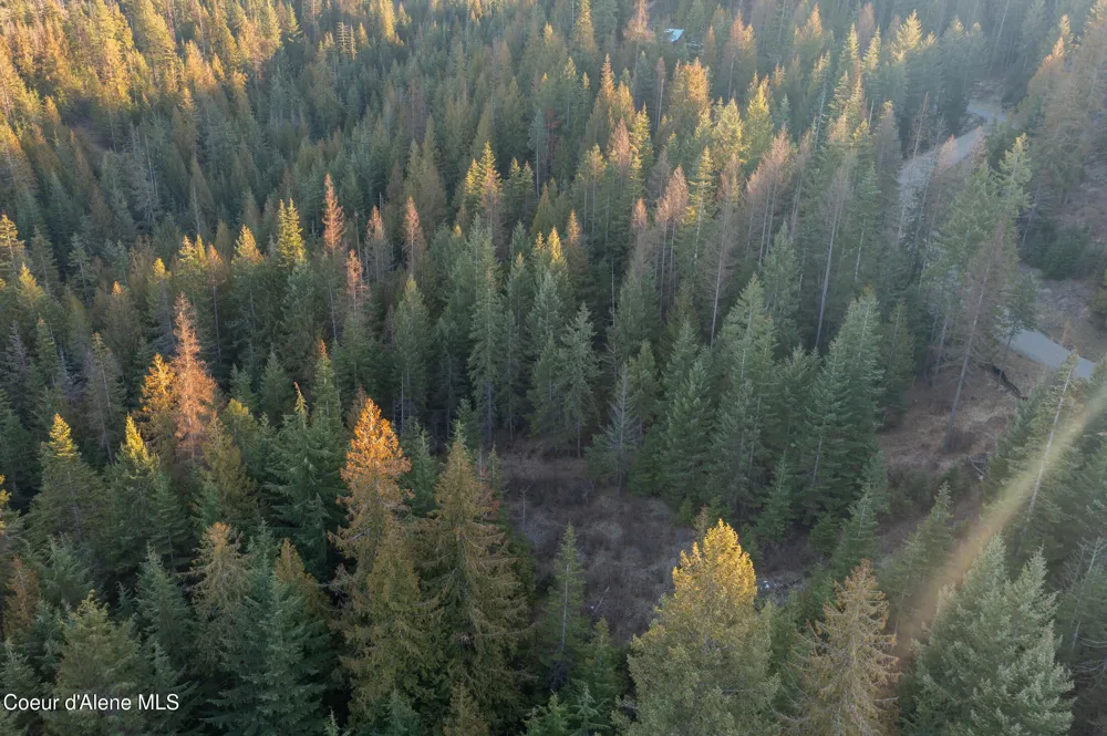 NNA Sophie Hills Lot 2 Harrison, ID 83833