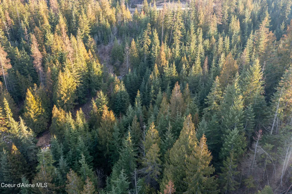 NNA Sophie Hills Lot 2 Harrison, ID 83833