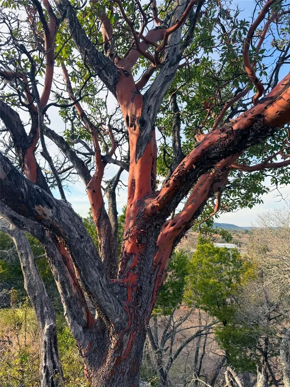 470 Blackbuck Trail Road #46, 47 Pipe Creek, TX 78063