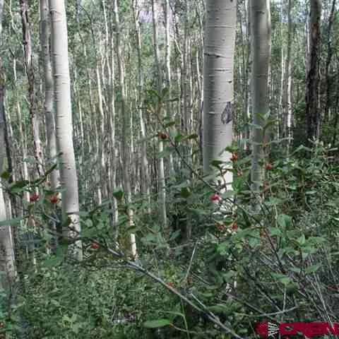 Henson Creek Road Lake City, CO 81235