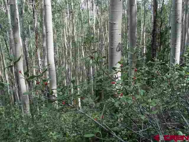 Henson Creek Road Lake City, CO 81235