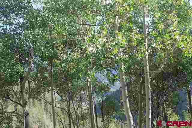 Henson Creek Road Lake City, CO 81235
