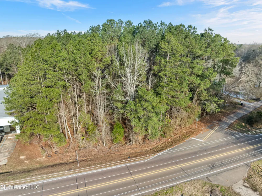 14.75 Acres Highway 11 Ellisville, MS 39437