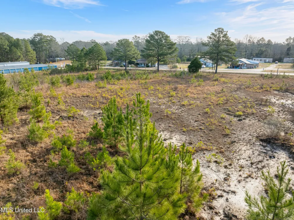 14.75 Acres Highway 11 Ellisville, MS 39437