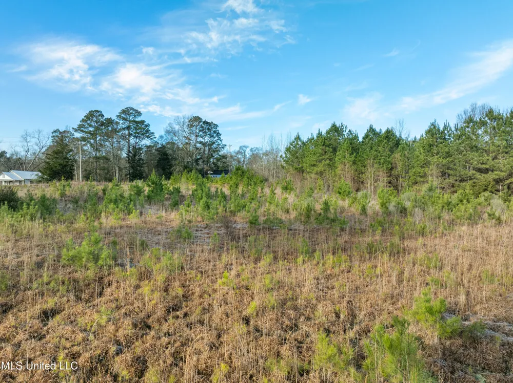 14.75 Acres Highway 11 Ellisville, MS 39437