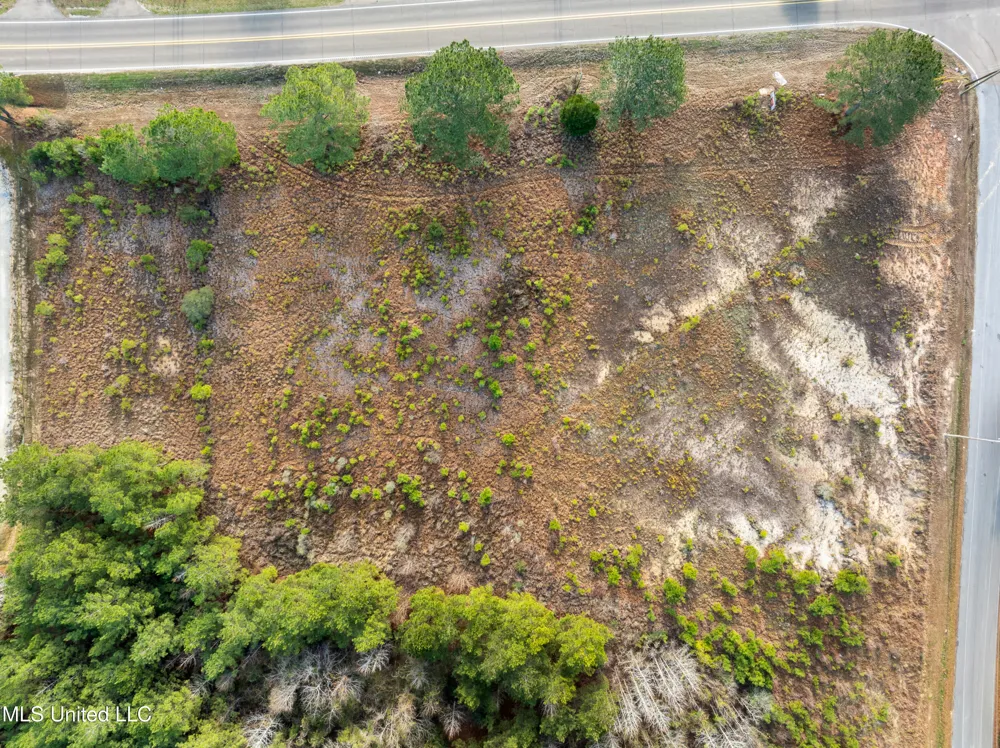14.75 Acres Highway 11 Ellisville, MS 39437