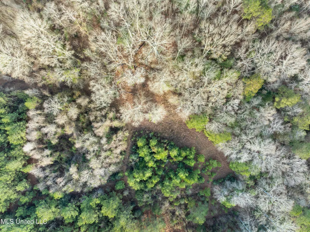 14.75 Acres Highway 11 Ellisville, MS 39437