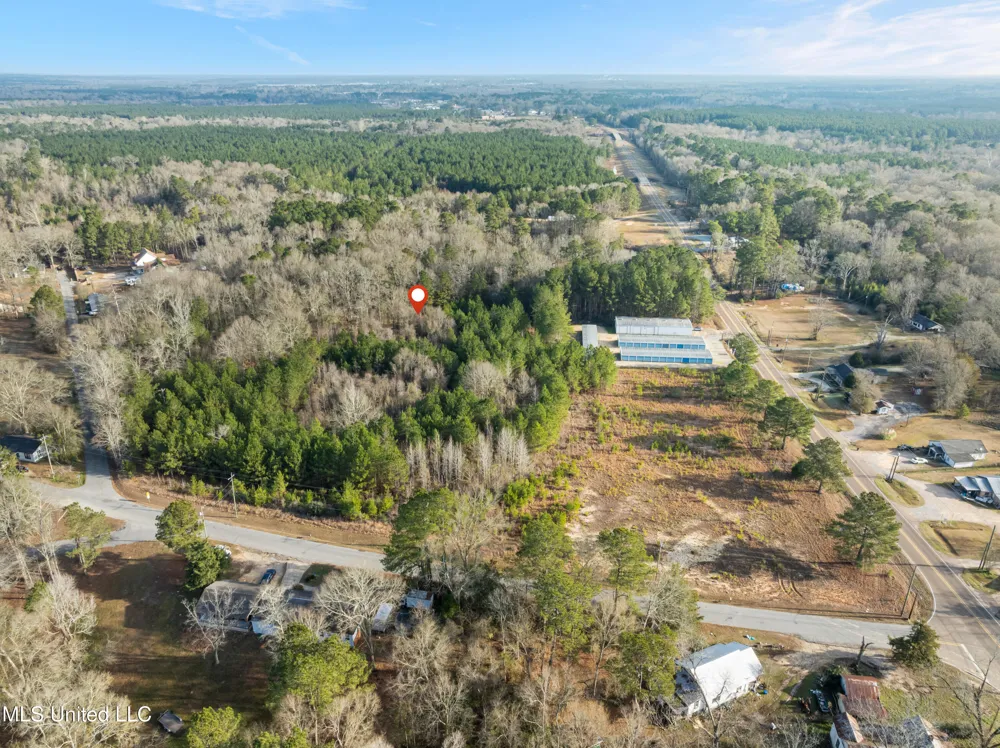 14.75 Acres Highway 11 Ellisville, MS 39437